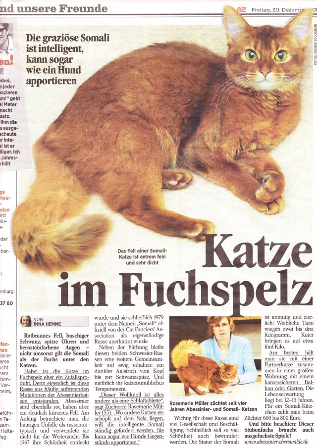 Artikel Tasha in BZ