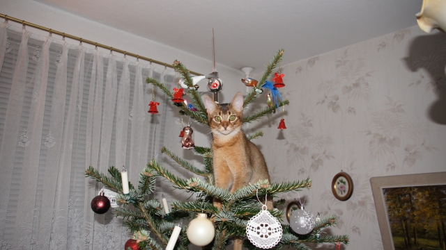 DSC01968