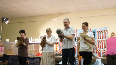 R�blingen best in show 28-07-12