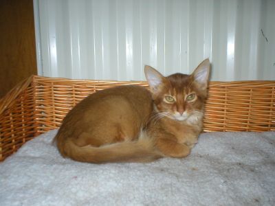Tasha-30-07-2