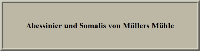 Abessinier und Somalis von M�llers M�hle
