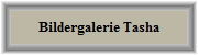 Bildergalerie Tasha