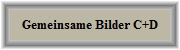Gemeinsame Bilder C+D