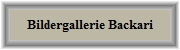 Bildergallerie Backari