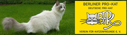 bpk-banner