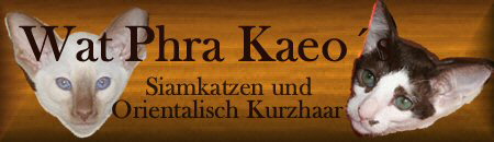 linklogo